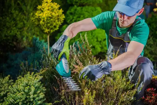 landscaping services Fairmount